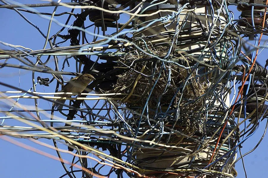 Os gatos de luzem pode ocasionar em incêndios e choques eletrícos