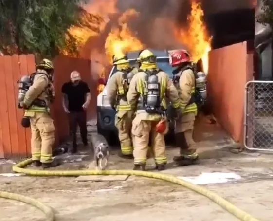 VÍDEO | Homem entra em casa pegando fogo para salvar animal de estimação