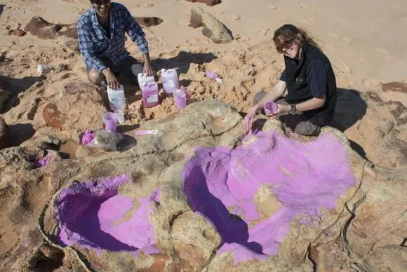 Cientistas identificam 150 pegadas de 21 espécies de dinossauros na Austrália