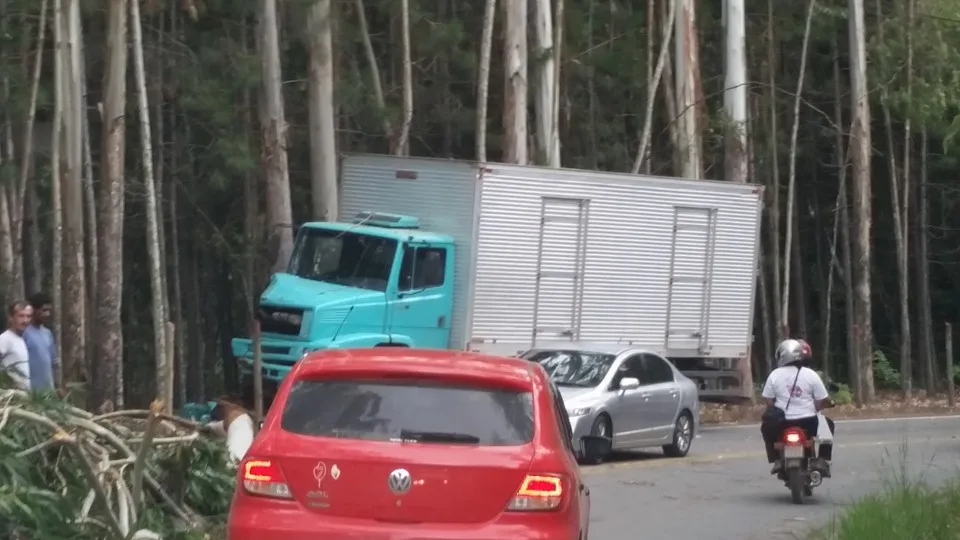 Caminhão desgovernado atinge plantação de eucalipto em Santa Maria de Jetibá