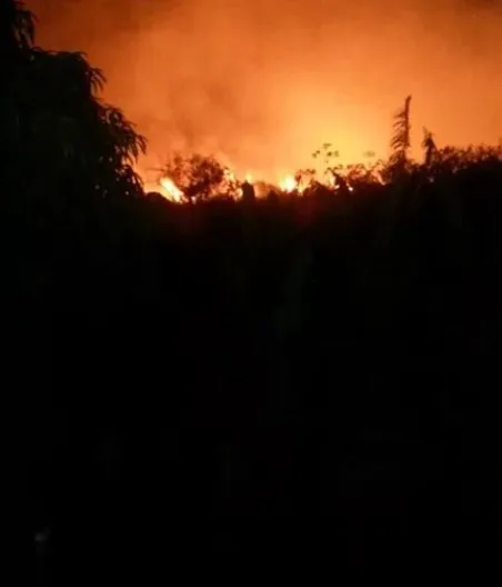 Incêndio de grande proporção atinge Parque Estadual de Itaúnas