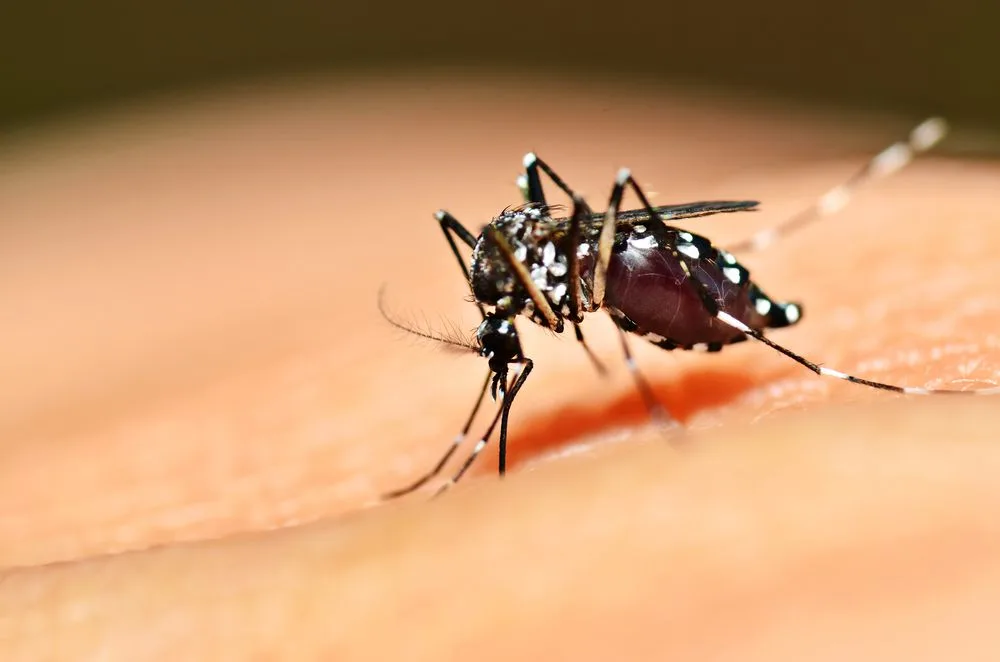 Homem com suspeita de dengue hemorrágica está em isolamento de hospital particular em Vila Velha