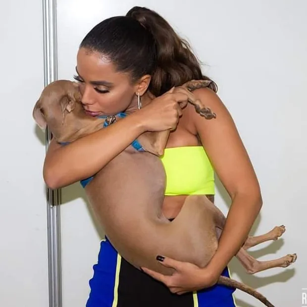 Anitta leva Plínio em premiação e é criticada na web: 'Vocês implicam até com o cachorro'