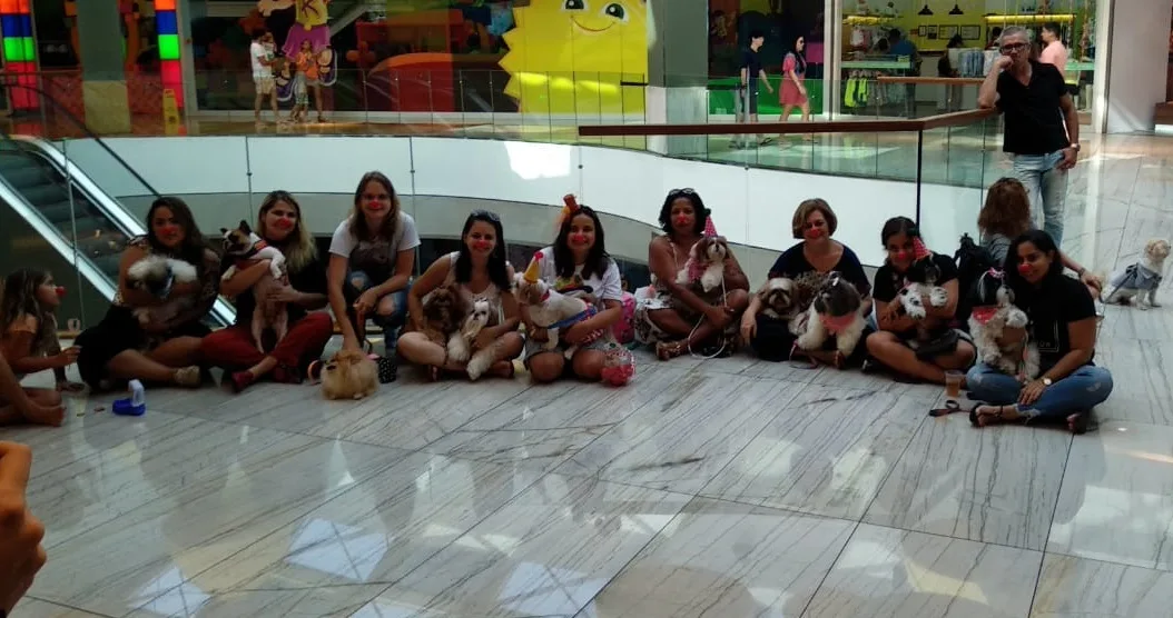 Cãozinho ganha festa de aniversário solidária com 40 'cãovidados' em shopping no ES