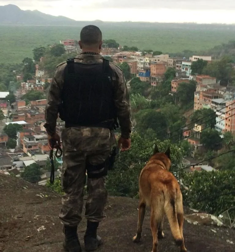 Cão farejador encontra mais de 120 bolinhas de haxixe em Vitória