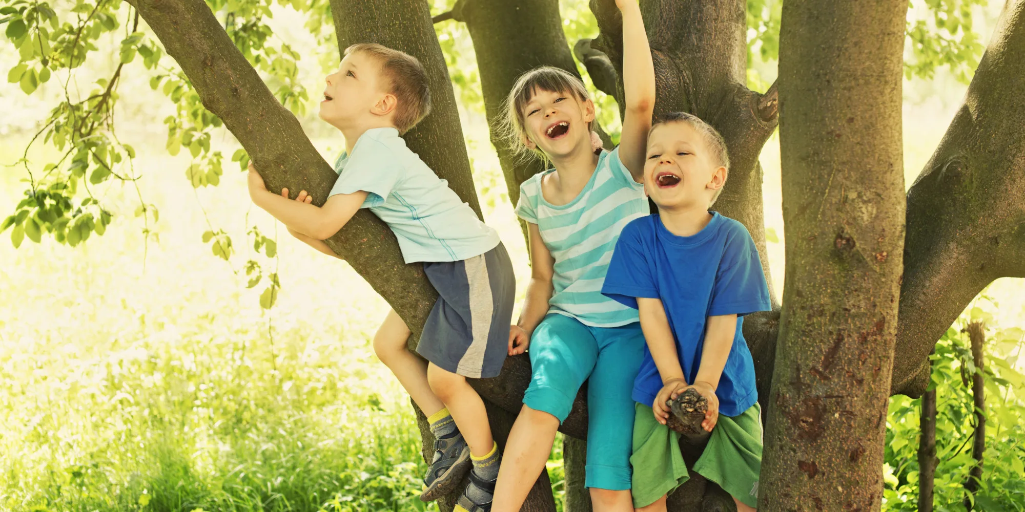 Kids on tree