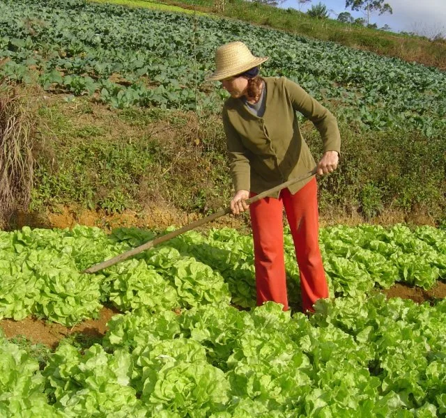 Resistência do agronegócio à Marina teria pouco efeito