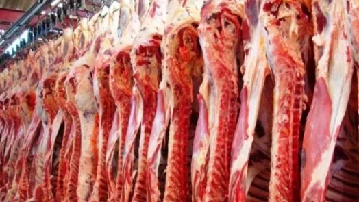 Governo tenta tranquilizar importadores de carne durante reunião