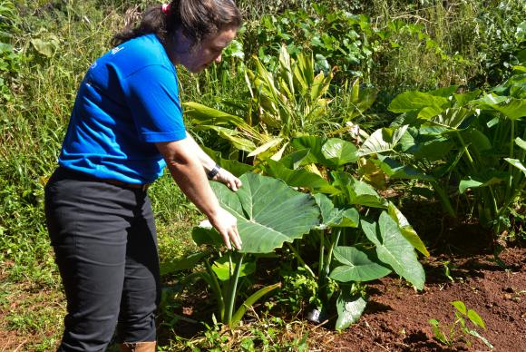 Brasil se destaca em pesquisa sobre biodiversidade entre nove países