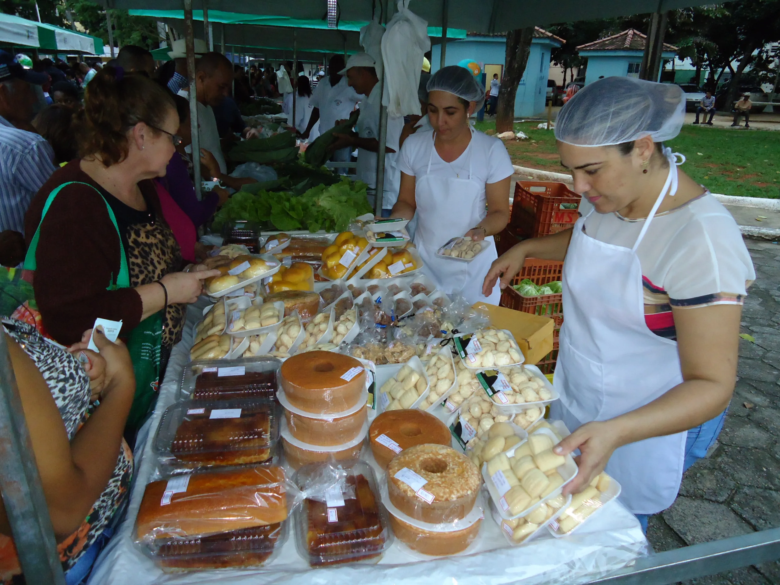 Empreendedores rurais de Cachoeiro se qualificam para atrair consumidores