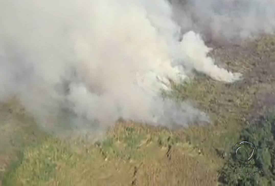 Incêndio de grandes proporções atinge área de proteção ambiental em Vila Velha