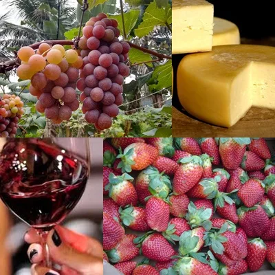 8 roteiros para você degustar queijos, vinhos, socol, uvas e morango na Região Serrana do ES