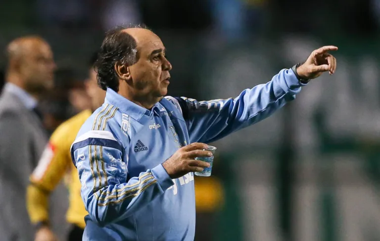SÃO PAULO, SP – 24.10.2015: PALMEIRAS X SPORT – O técnico Marcelo Oliveira, da SE Palmeiras, em jogo contra a equipe do Sport CR, durante partida válida pela trigésima segunda rodada do Campeonato Brasileiro, Série A, no Estádio do Pacaembu. (Foto: Cesar Greco / Fotoarena)
