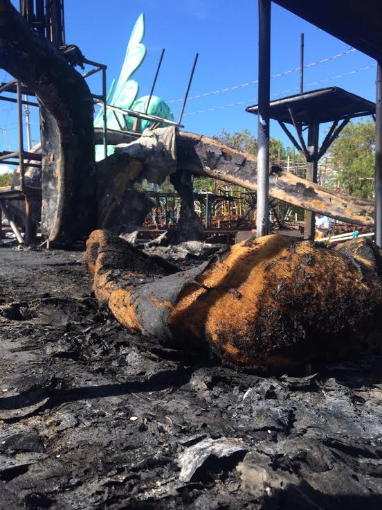 Carros alegóricos pegam fogo no Sambão do Povo em Vitória