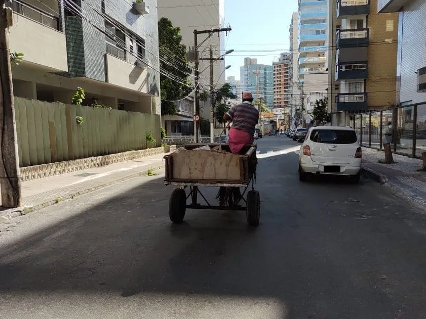 Morador registra carroça em área urbana de Guarapari e aponta descumprimento de lei estadual