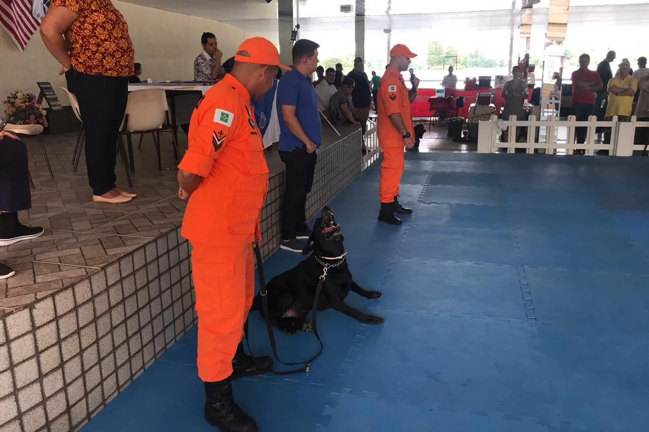 Cão dos bombeiros que atuou em buscas de Brumadinho se aposenta