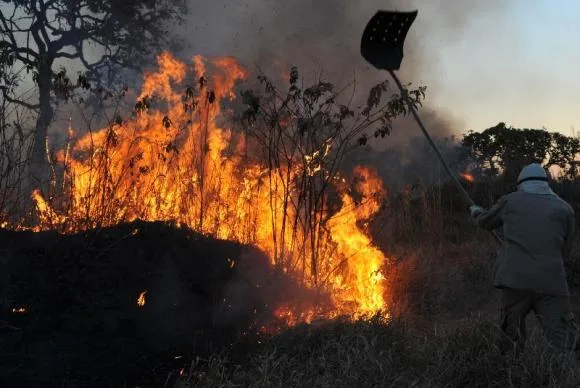 Incêndios no país em outubro dobram em relação ao mesmo mês de 2013