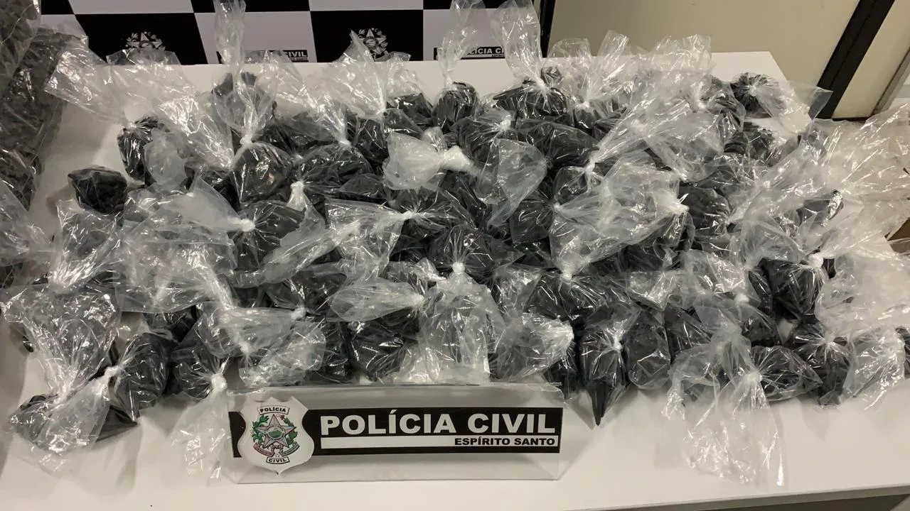 Foto: Divulgação / Polícia Civil