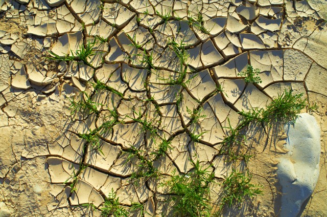 Israel — Dried riverbed (wadi), Red Sea, Israel — Image by © Howard Bartrop/Image Source/Corbis