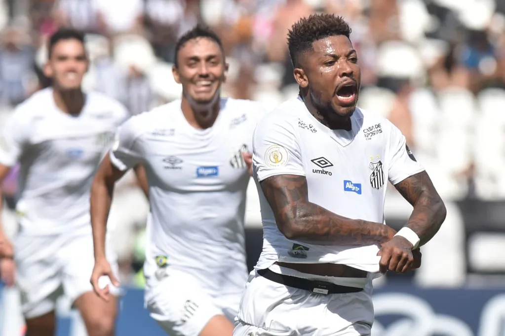 Foto: Ivan Storti/Santos FC