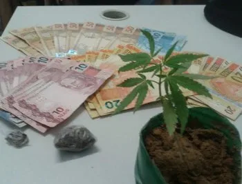 Grupo é preso com pé de maconha, drogas e dinheiro em Aracruz