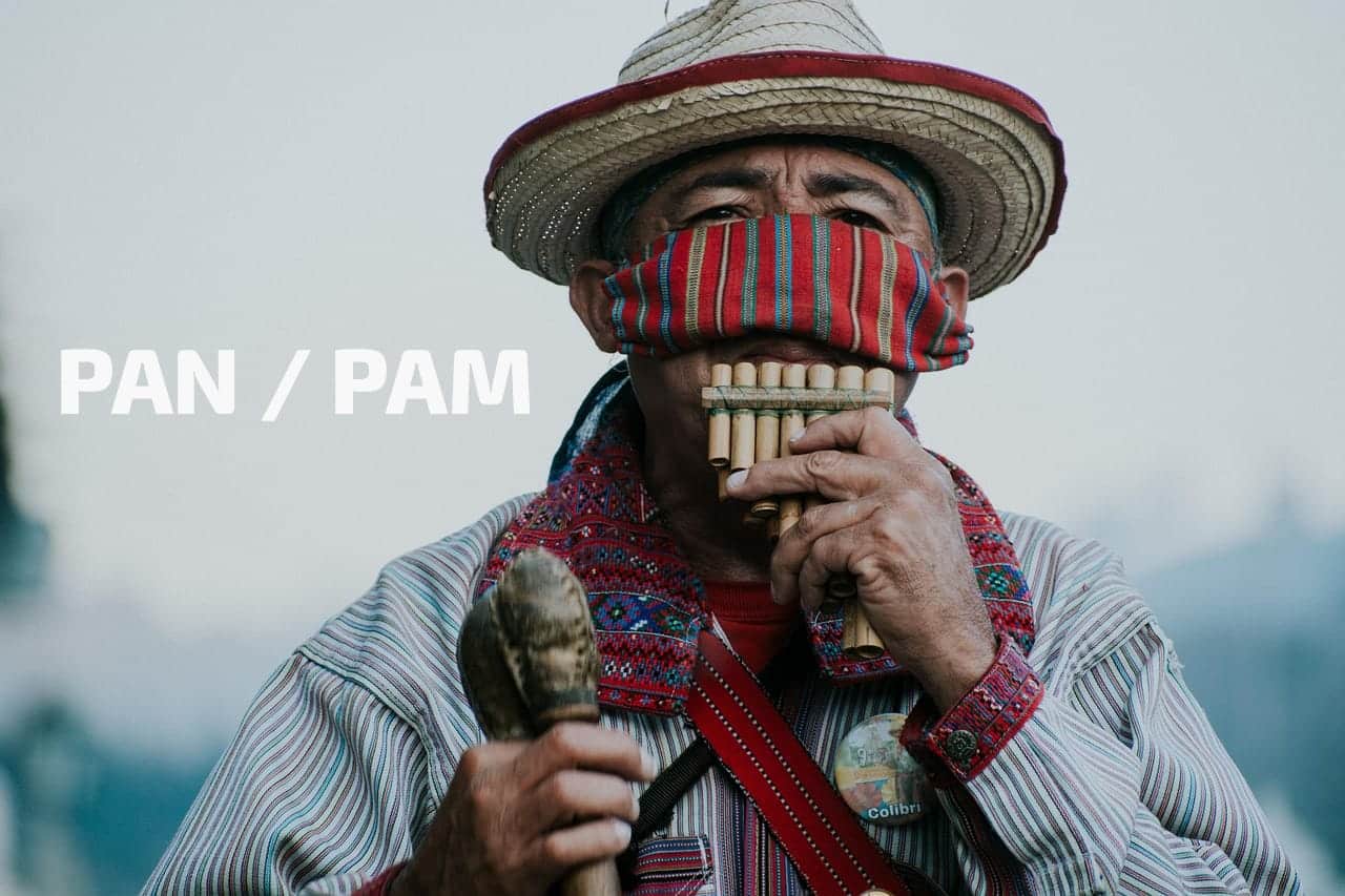 DICA DO DIA (Nº 336): PAN/PAM