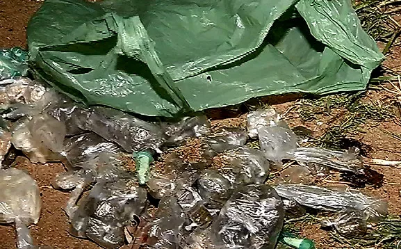 Polícia encontra grande quantidade de droga enterrada na areia da Praia de Camburi