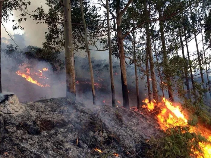 Foto: Corpo de Bombeiros/Divulgação