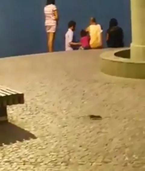 Vídeo flagra infestação de ratos no Pier de Iemanjá em Vitória