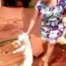 Mulher joga cachorro em bueiro e vídeo causa revolta nas redes sociais