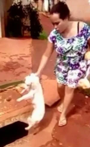 Mulher joga cachorro em bueiro e vídeo causa revolta nas redes sociais