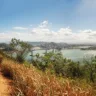 Limpeza e plantação de mudas no Morro do Moreno em Vila Velha