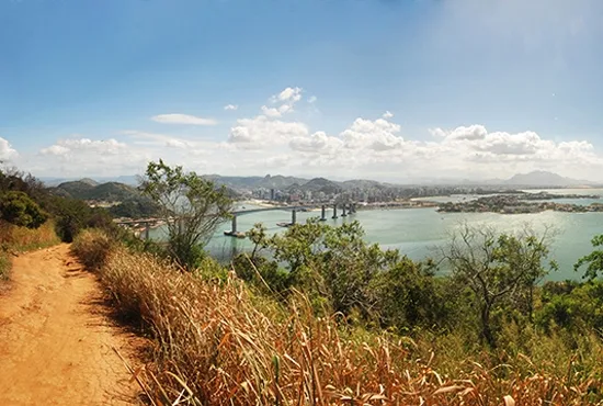 Limpeza e plantação de mudas no Morro do Moreno em Vila Velha