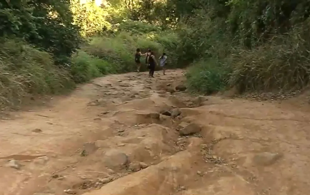 Morador da Praia da Costa é rendido por bandidos armados em trilha no Morro do Moreno