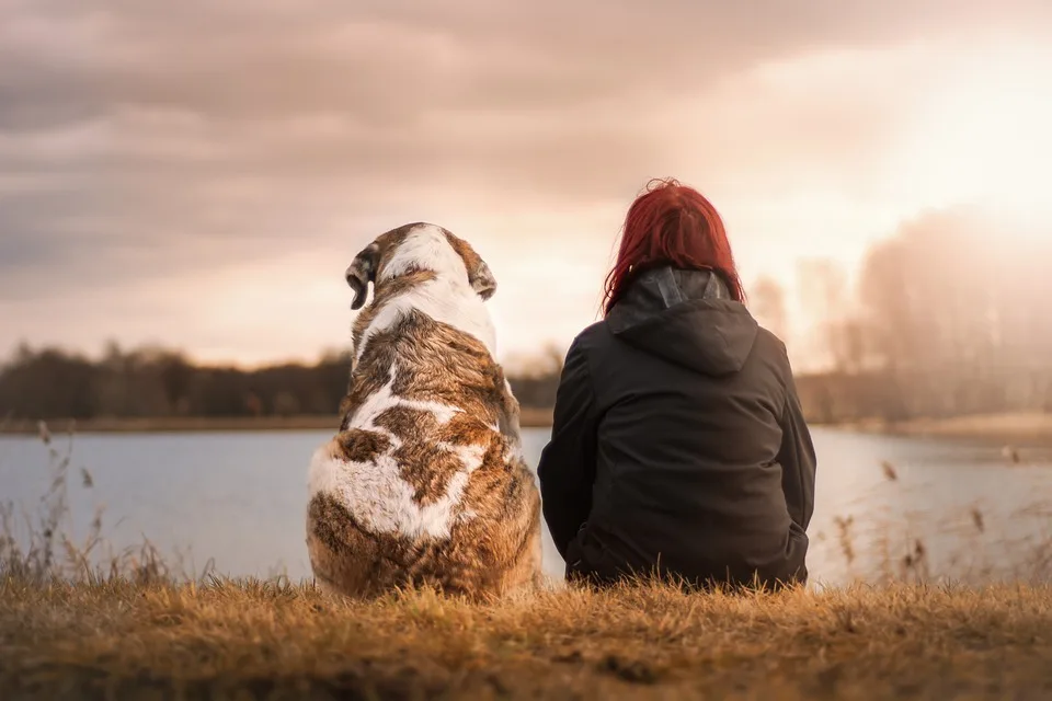 Câncer de mama também merece atenção em cães e gatos