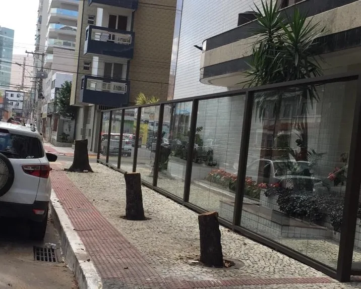 Árvores cortadas em Guarapari foram envenenadas