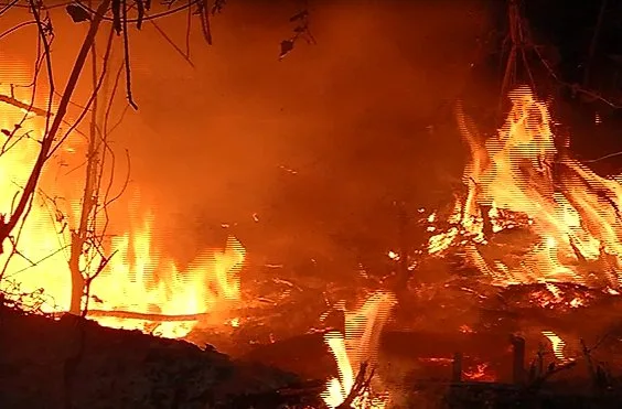 Incêndio atinge área de vegetação na Rodovia ES 010 na Serra