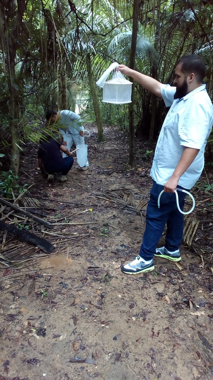 Floresta de Pacotuba recebe monitoramento contra febre amarela