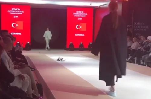 Gato invade passarela e rouba a cena em desfile na Turquia