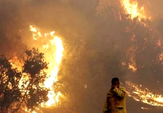 Incêndios matam 10 na Califórnia e destroem mais de 1.5 mil casas