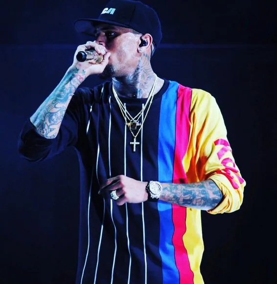 Chris Brown consegue custódia conjunta para poder criar sua filha