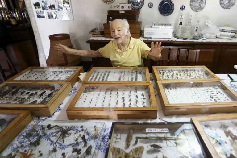 O médico Luiz Cláudio Stawiarski doará uma coleção de mais de 2 mil espécimes de borboletas e outros insetos para o Museu Nacional do Rio de Janeiro.