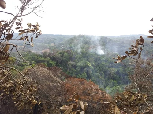 Corpo de Bombeiros controla incêndio em Parque de Pedra Azul