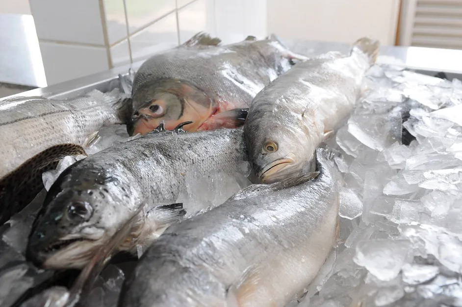 Comercialização de pescados será fiscalizada para o feriado em Itapemirim