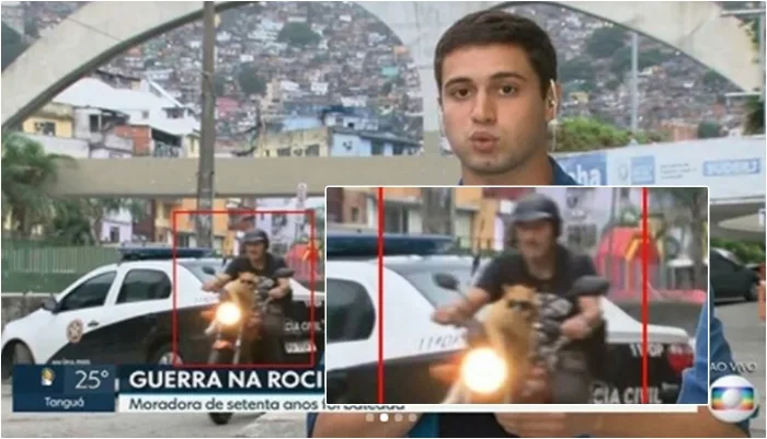 Gato de óculos escuros 'invade' reportagem de Telejornal no Rio de Janeiro