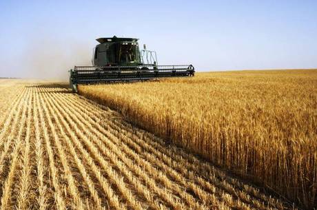 Ministério da Agricultura institui plano 'O Melhor do Agro Brasileiro'