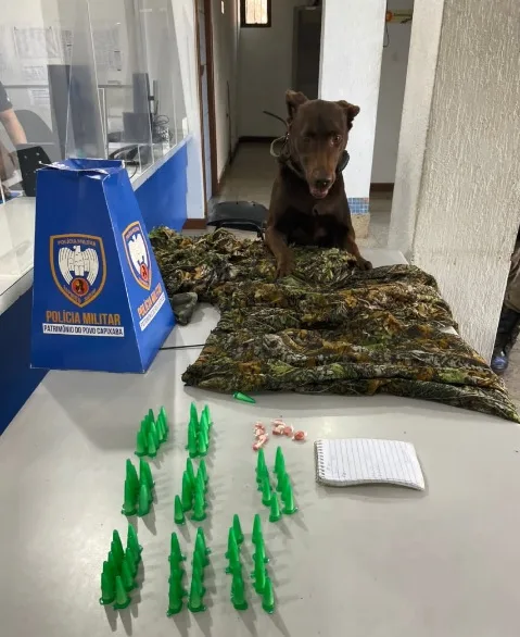 Cães farejadores encontram drogas e armas durante operação policial em morros de Vitória