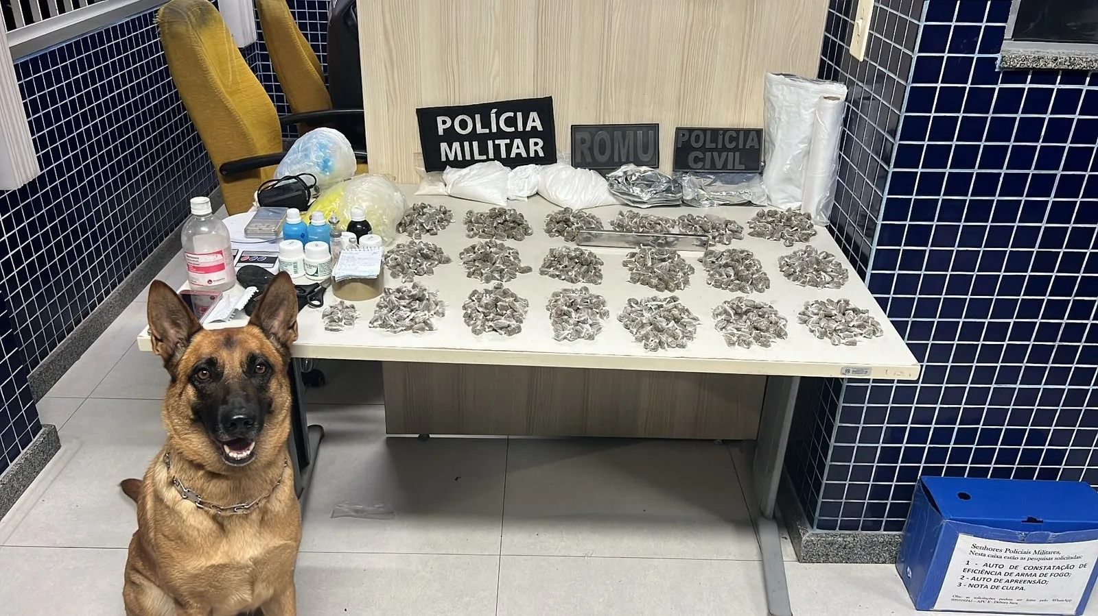 Cadela farejadora ajuda PM a encontrar drogas e armas em terreno de Vila Velha