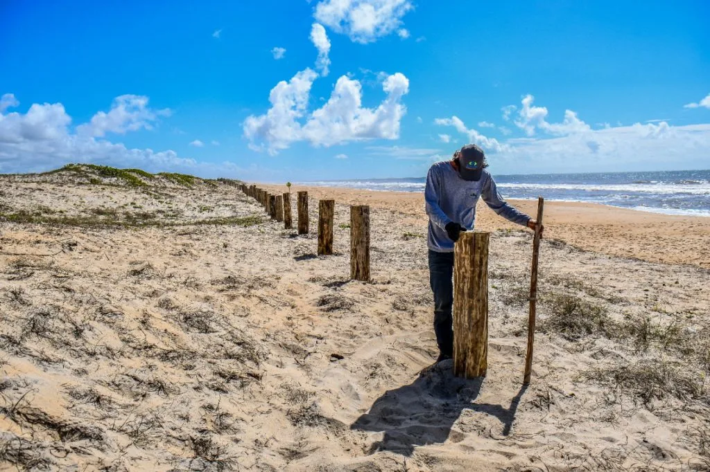 Multa de até R$ 20 mil para quem estacionar em área de restinga nas praias de Linhares