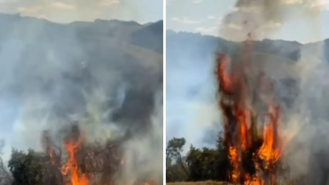 Corpo de Bombeiros combate incêndio em plantações em Iconha